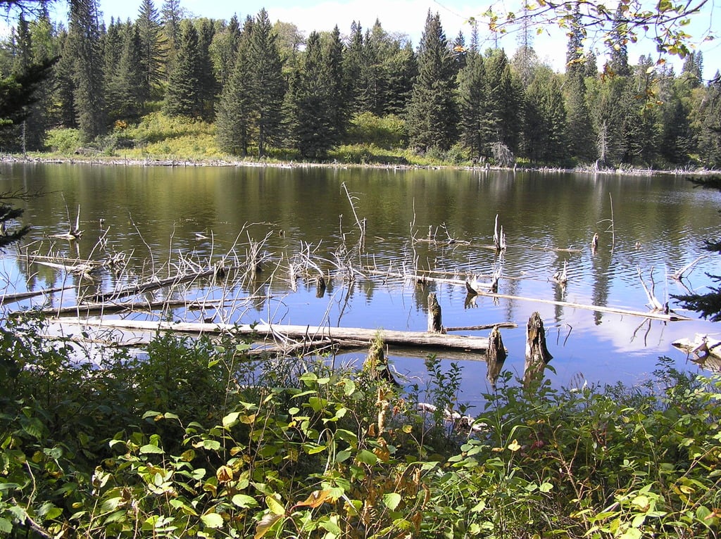 Riding mountain national park