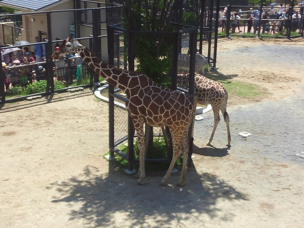 Kyoto City Zoo
