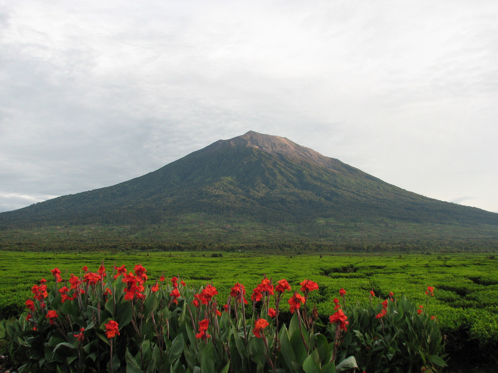 Uprising-mount kerinci