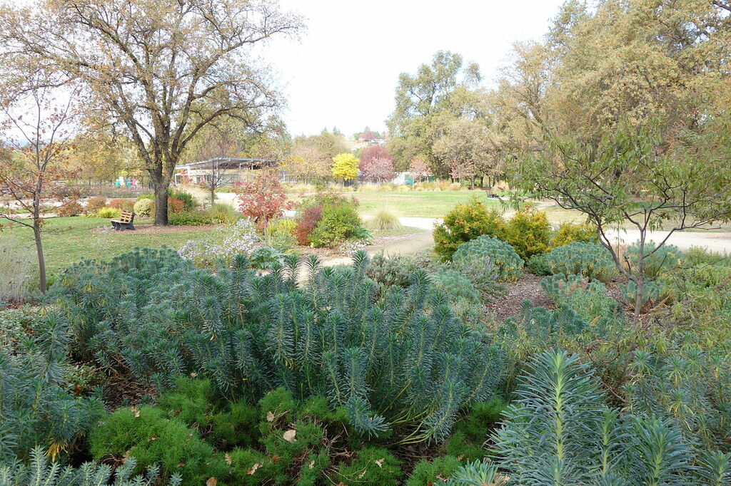 McConnell Arboretum & Botanical Gardens - Redding, California - DSC02938