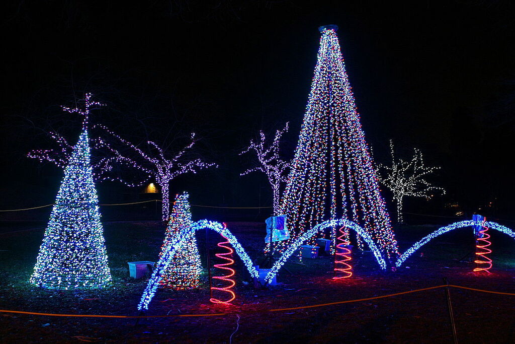 ZooLights 2010 - Holiday Lights at the National Zoo (5308330595)