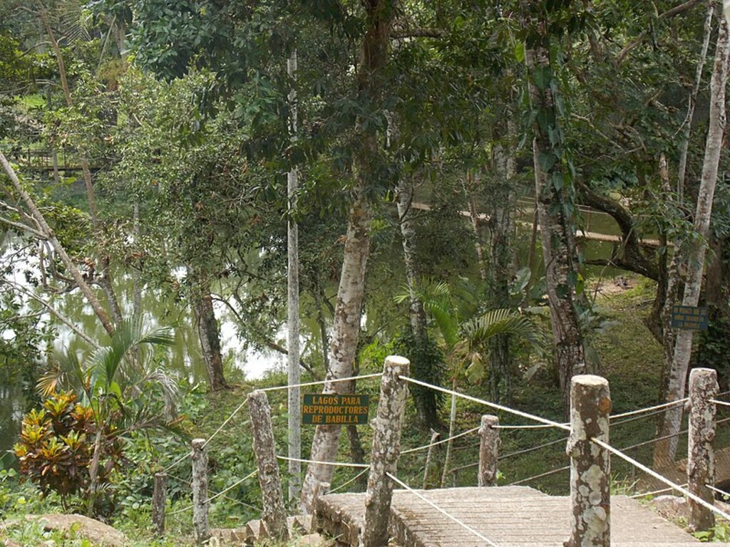 Parque Ecológico Ciudad Reptilia