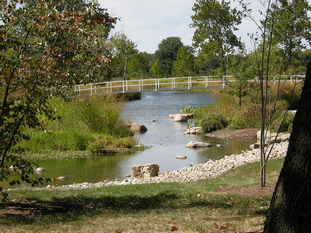 Forest Park 032