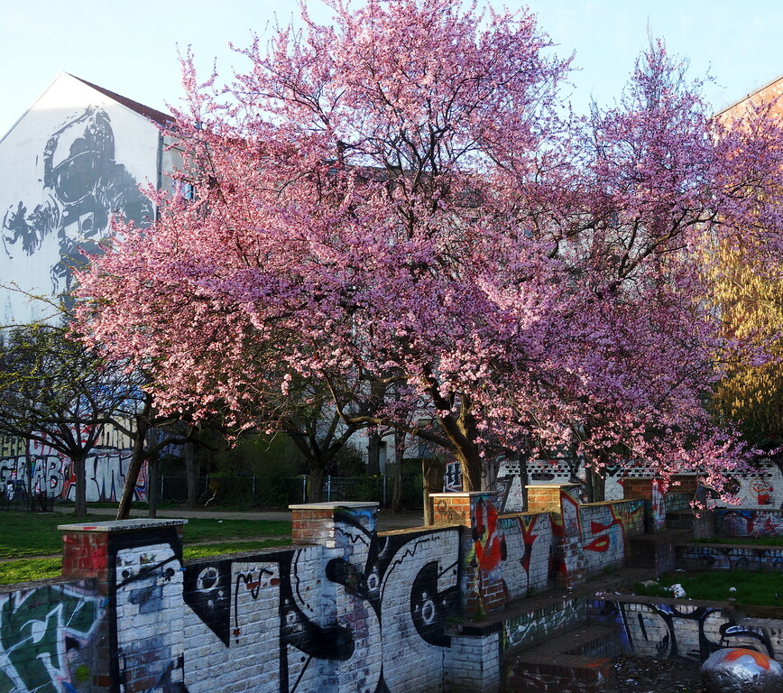 Skalitzer Park, Berlin-Kreuzberg, Bild 2