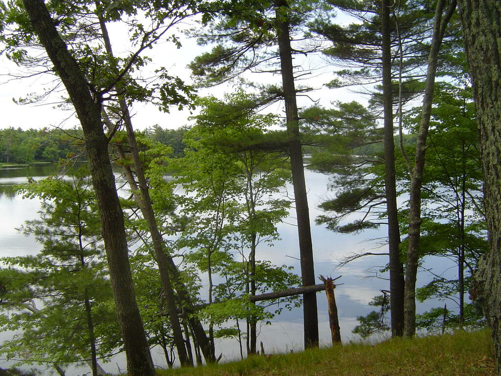 Ludington State Park 2005 001