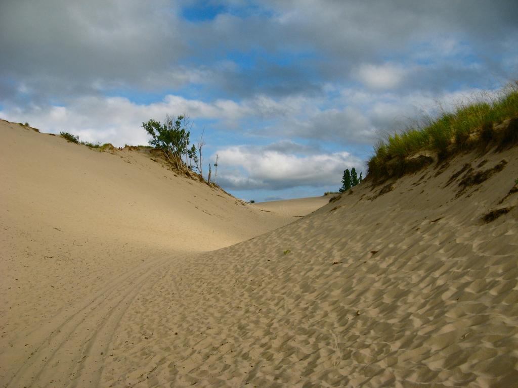 Warren Dunes State Park - panoramio