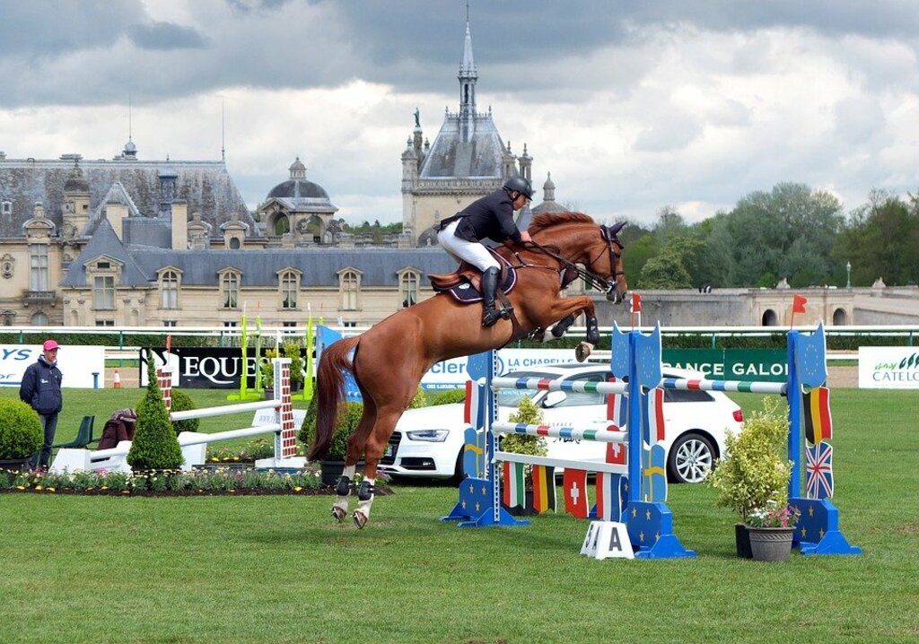 Jump show by the Great Stables