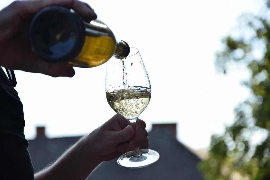 Wine glass winery 