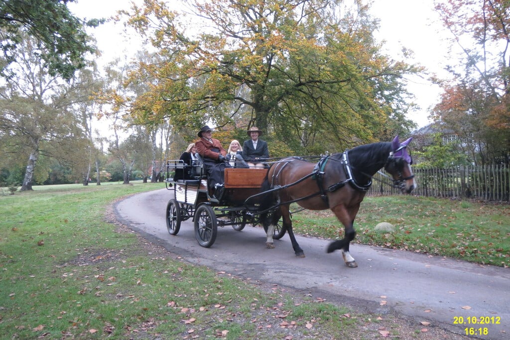 Carriage ride in the Park (8256295587)