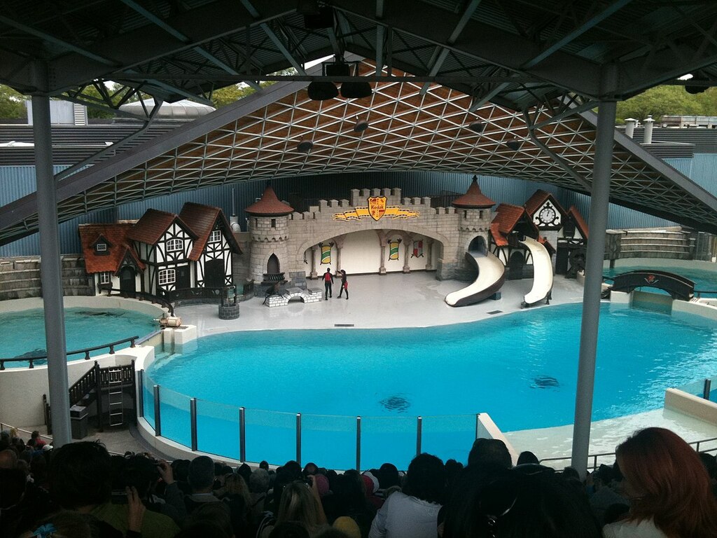 Dolphin Show MarineLand - panoramio