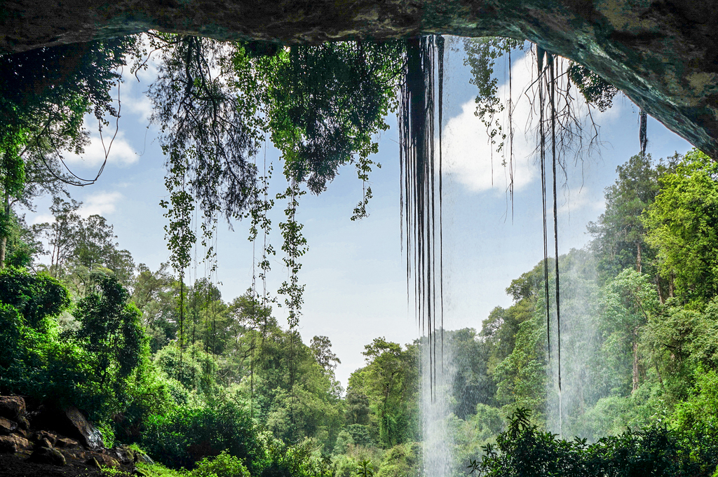 Mount Elgon National Park, Kenya