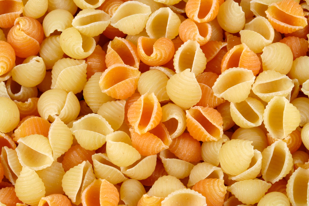 Conchiglie Pasta Texture