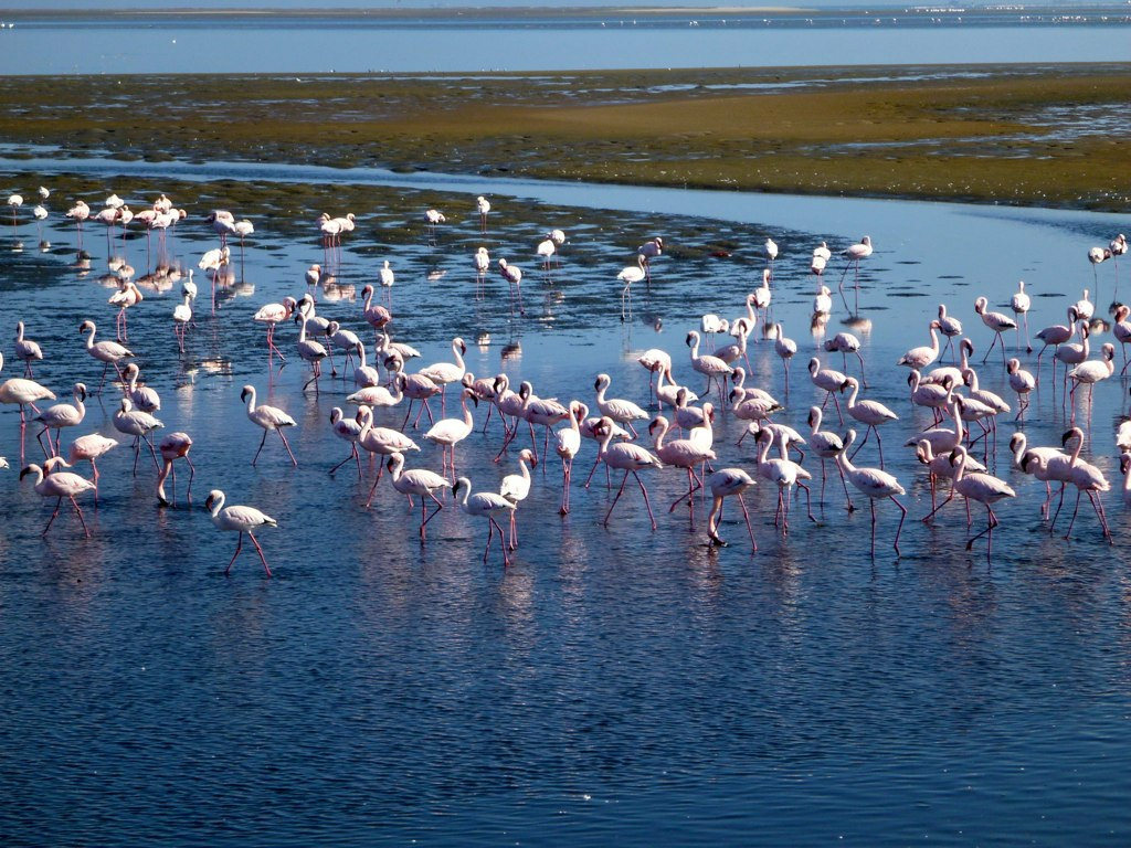 Walvis Bay, Namibia