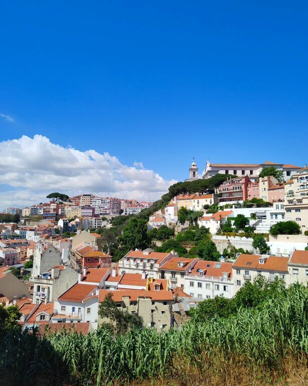 Costa do Castelo 120