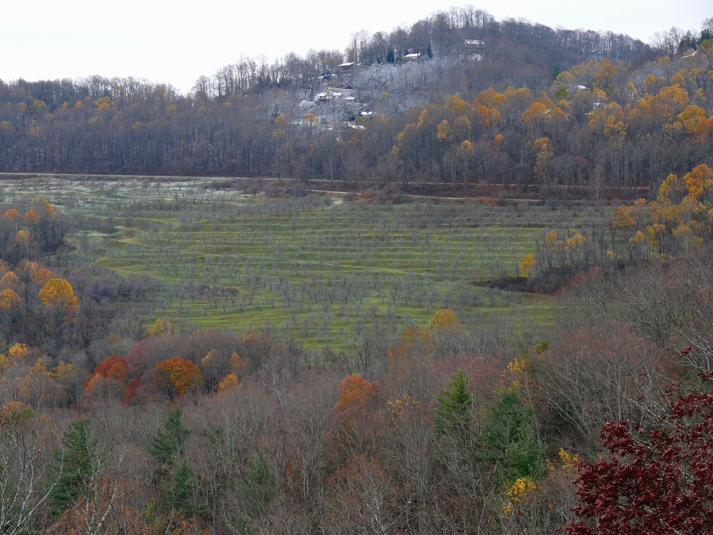 Altapass Orchard-27527