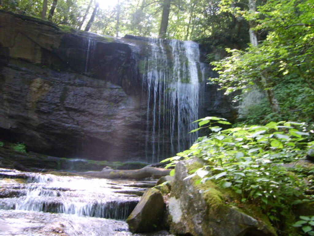 Grassy Creek Falls Photo