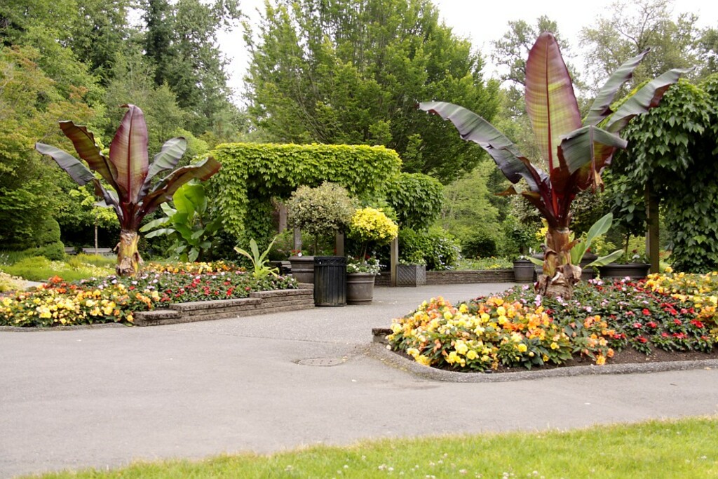Bear Creek Park, Surrey 