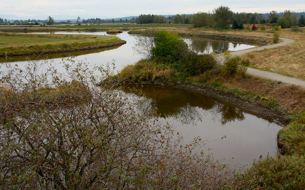 Serpentine River