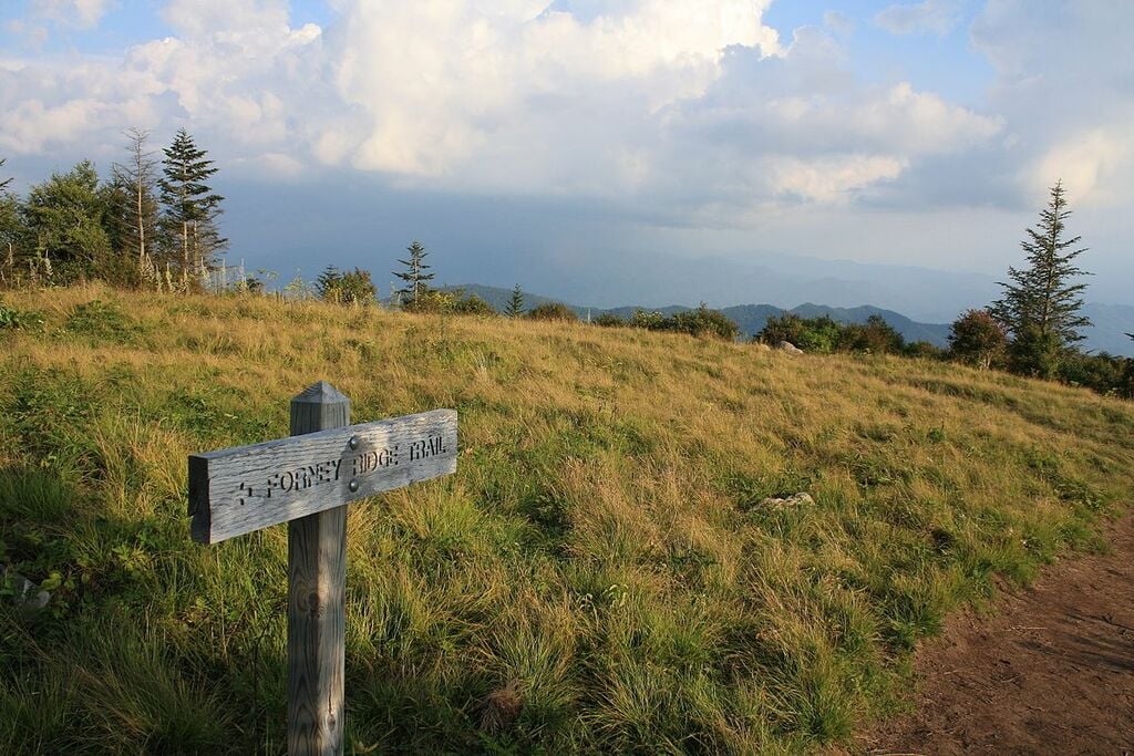 Andrews Bald with Sign