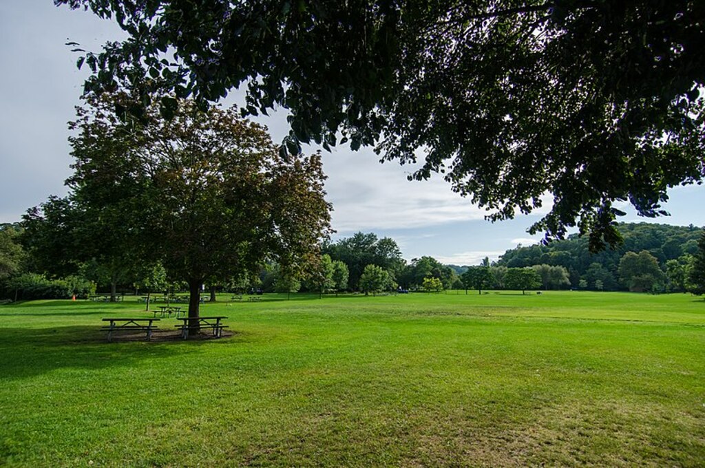 Morningside Park (37571327792)