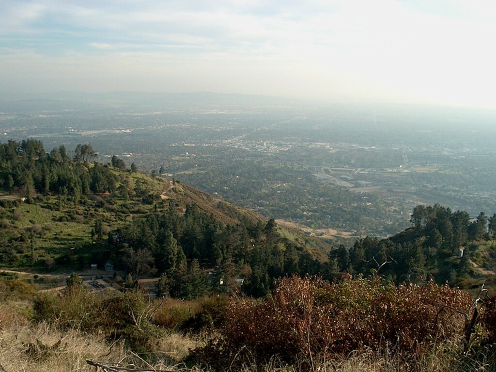31 The Highest Place I Reached That Day. No Time To Go Further.