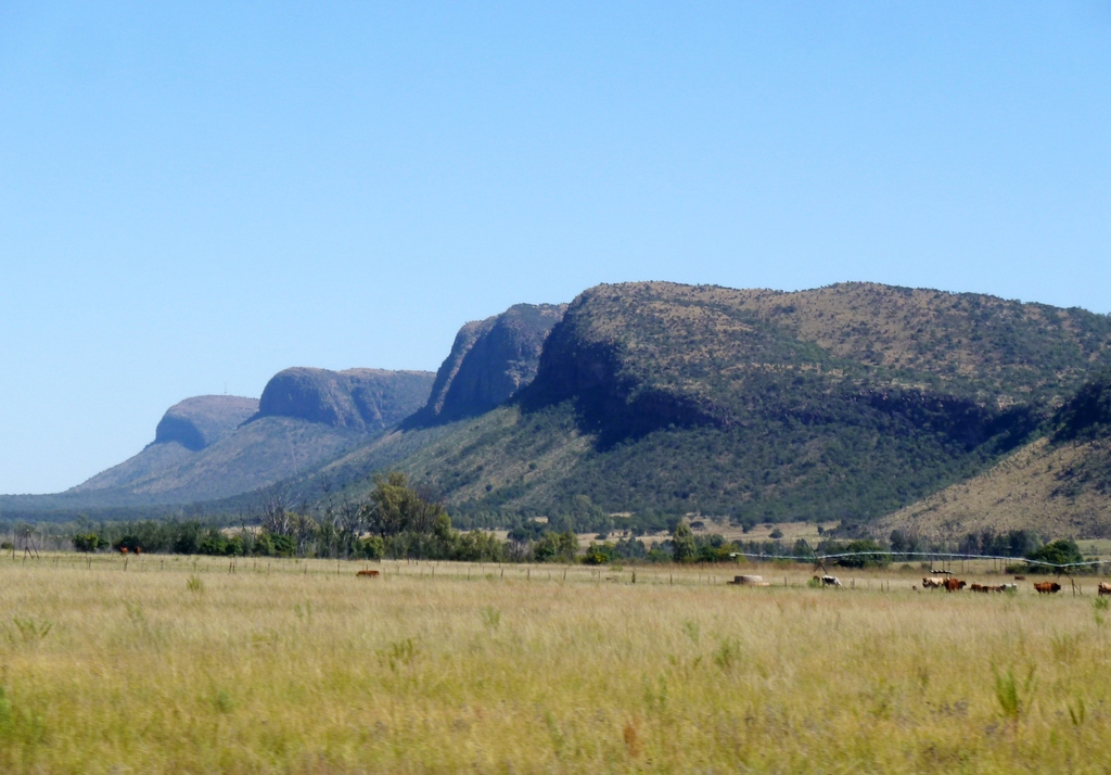 Vaalwater