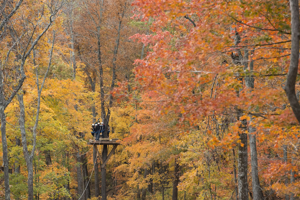 Colorful Adventure | Zip Line