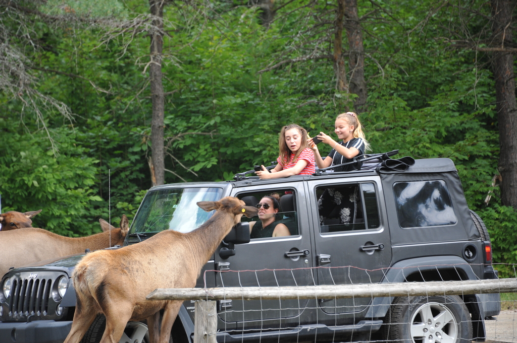 Parc Omega