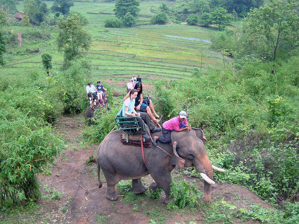 Elephant ride in Chiang Rai Province 2007-05 4