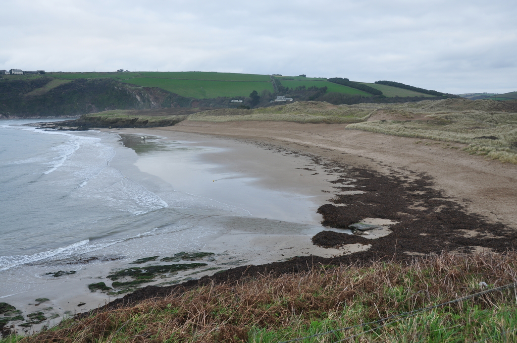 Bantham Sand (9536)