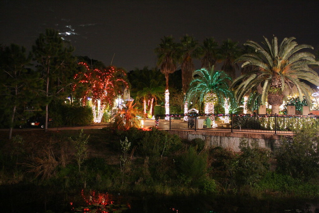 Christmas Lights @ Florida Botanical Gardens