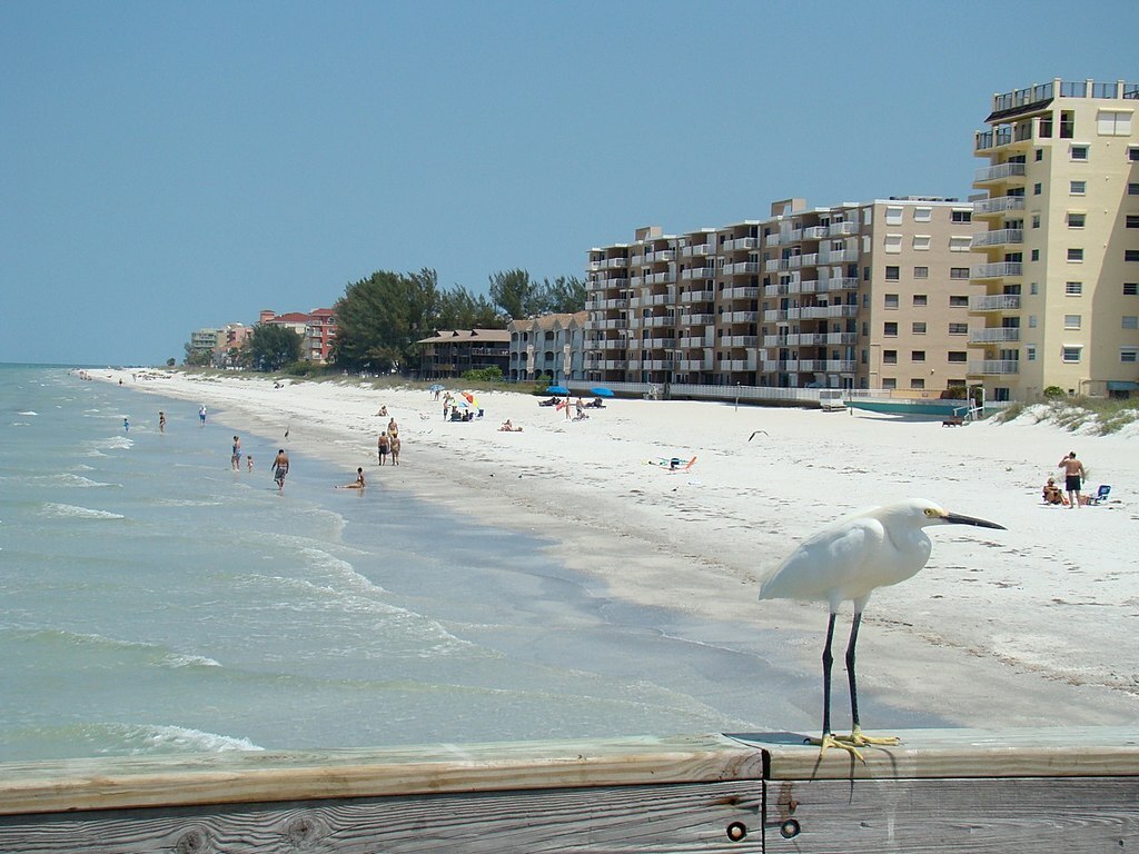 12 Best Things To Do In Indian Shores, Florida Updated 2024 Trip101