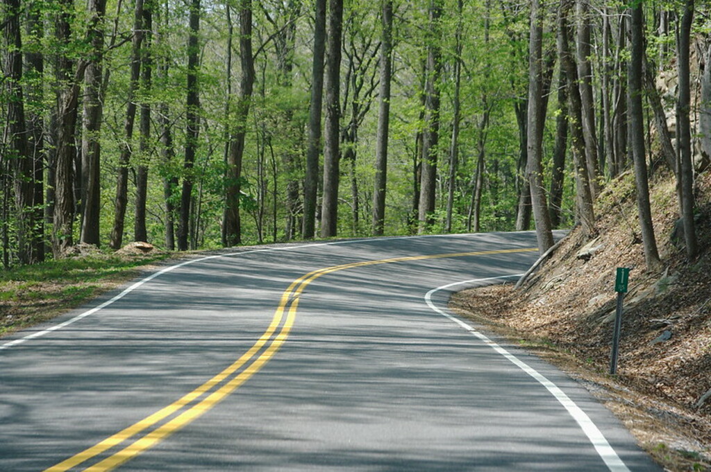 Tail of the Dragon #1