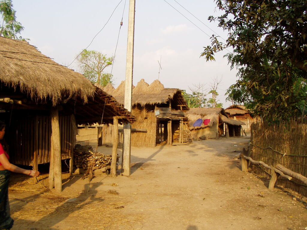 Sauraha-036