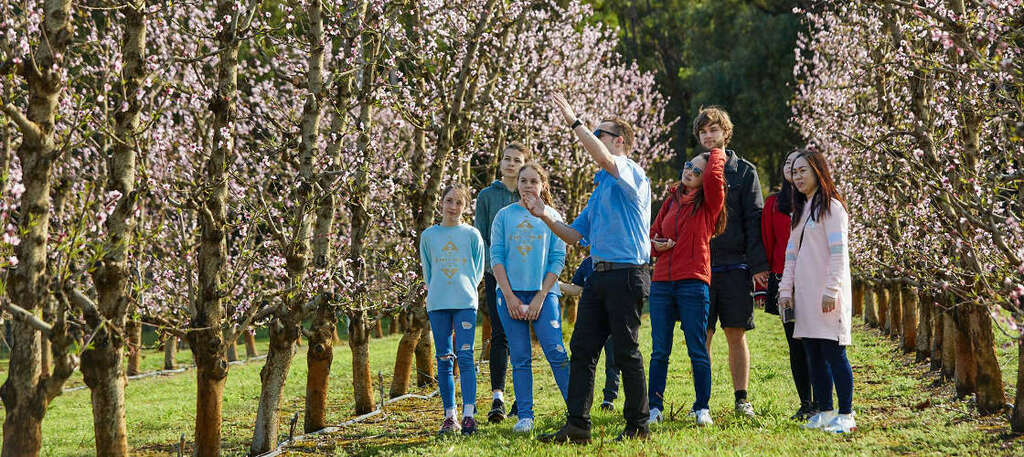 8 best things to do in mandurah australia | orchard, aussie farm & mandurah day tour