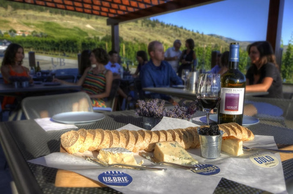 cheese and wine tasting