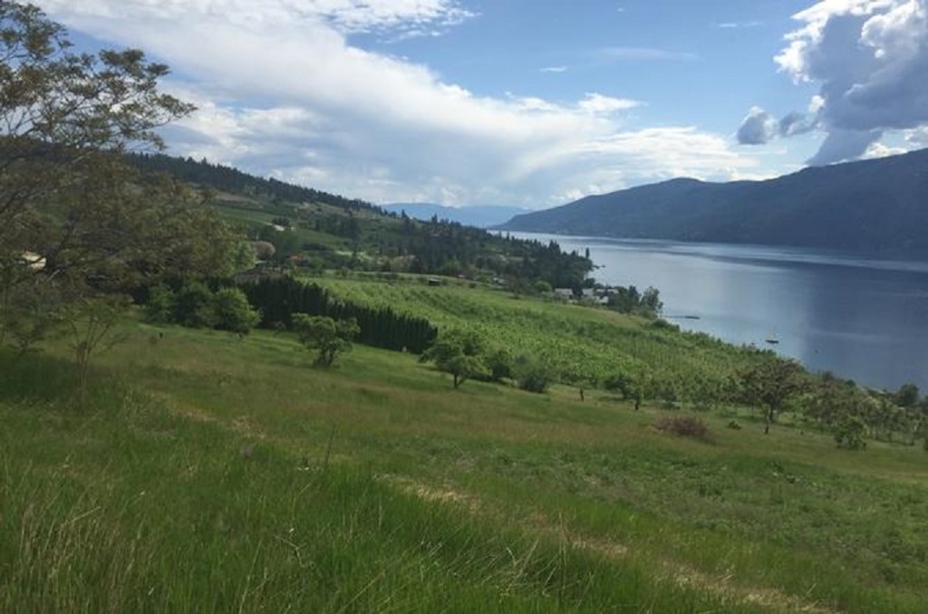 view of the countryside