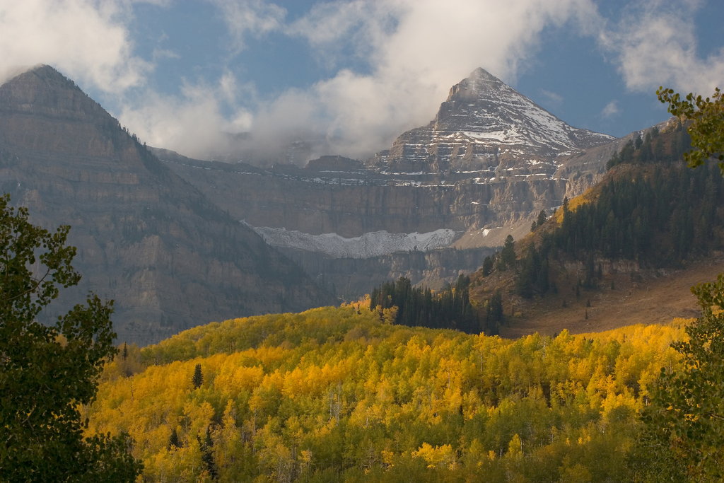 Uinta-national-forest
