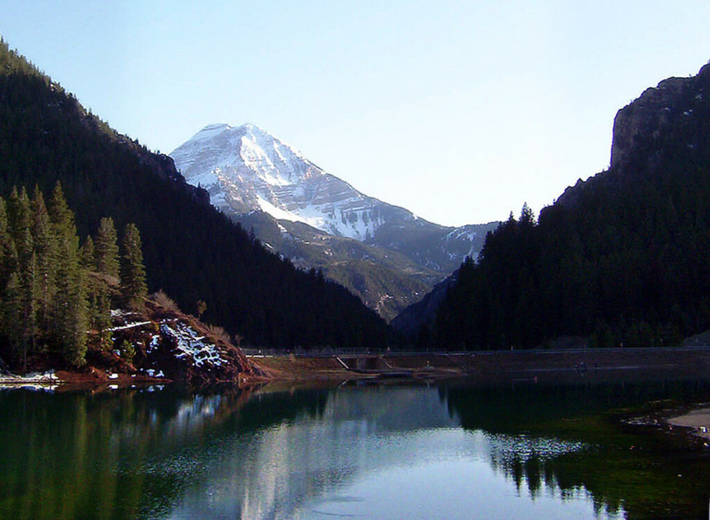 Tibble Fork View