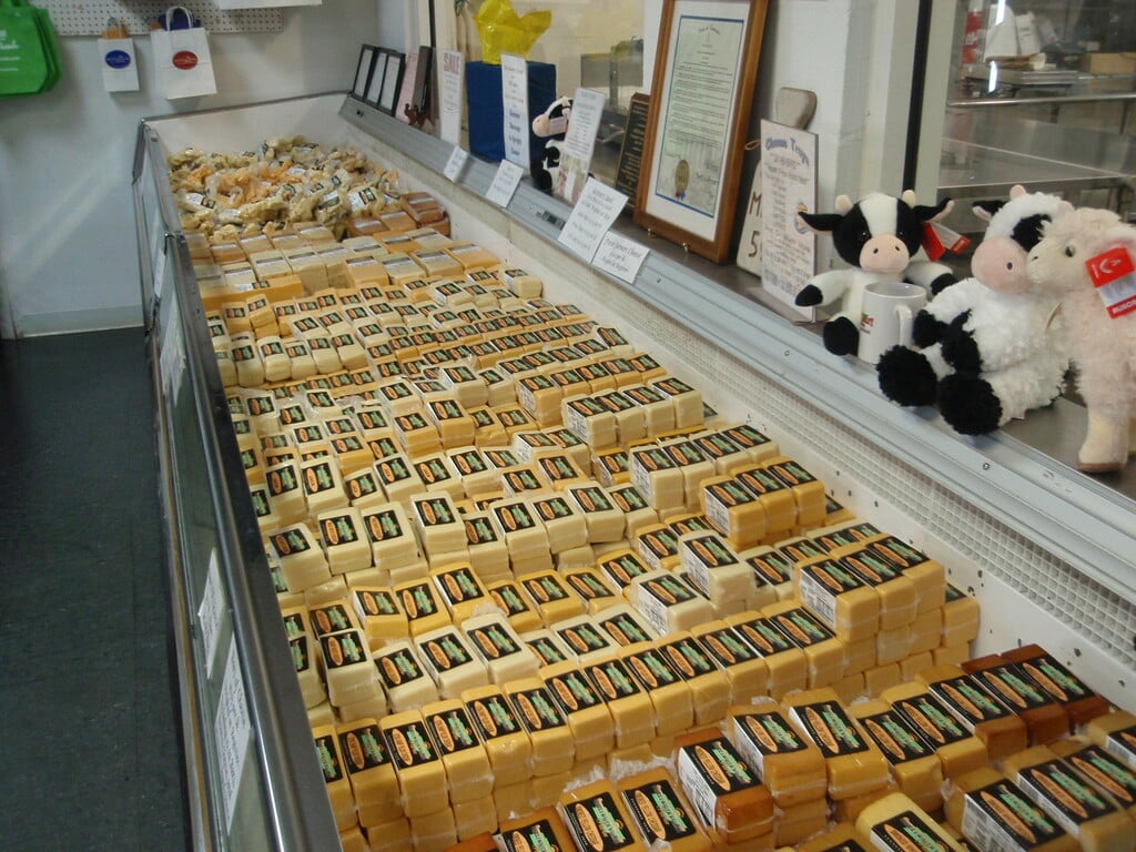 so much cheese
