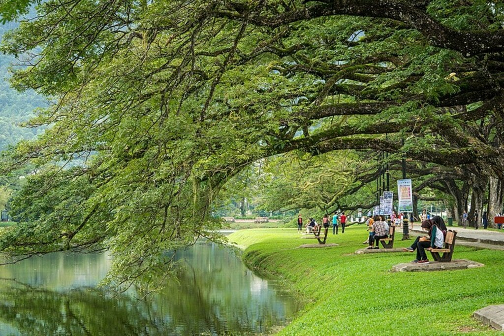 Taiping Lake Gardens (39276016264)