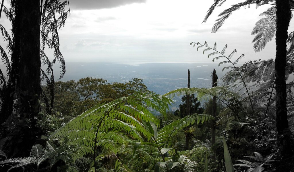 View from top