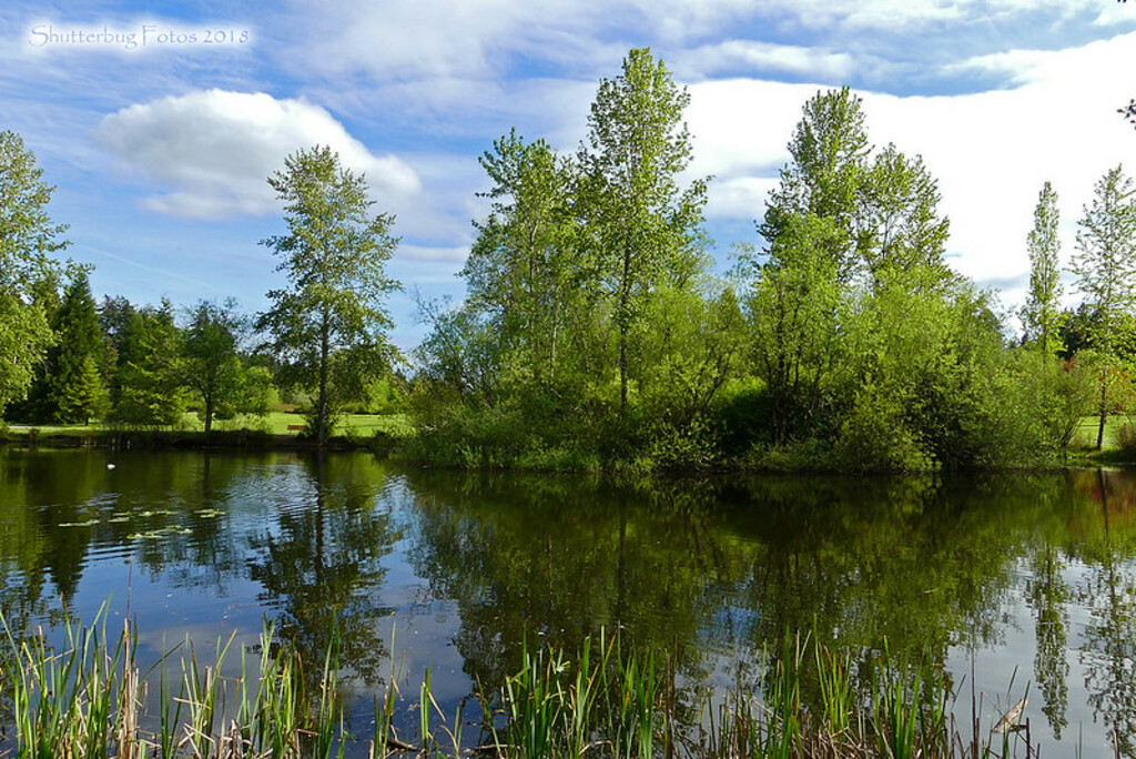 Battle Point Park