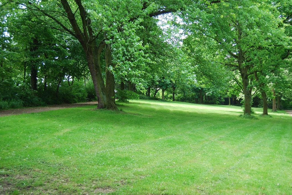 Park
