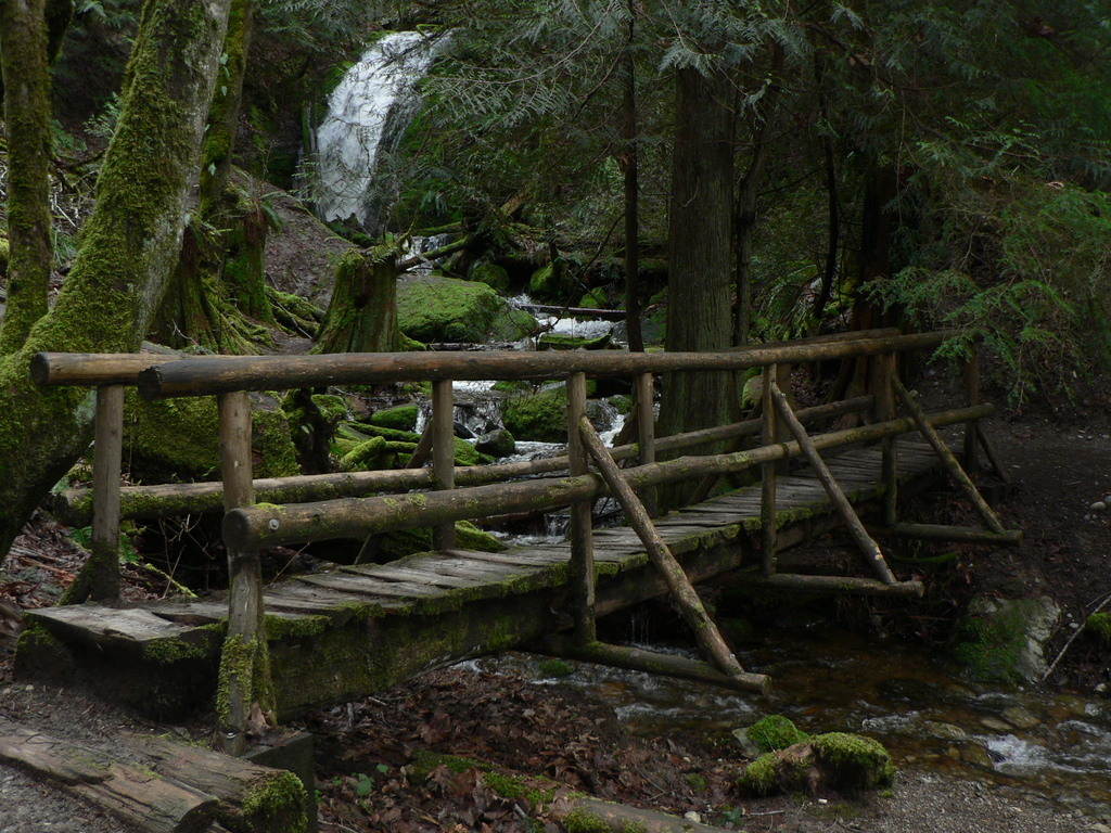Coal Creek Falls 04067