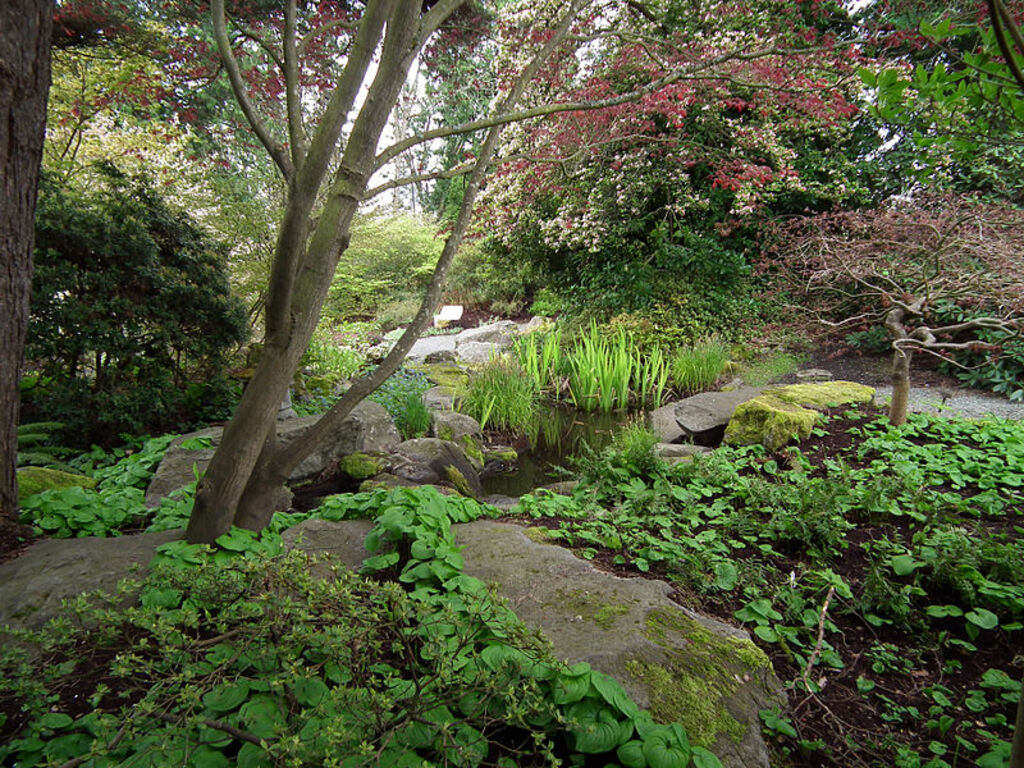 Top things to do in Bellevue, Washington
