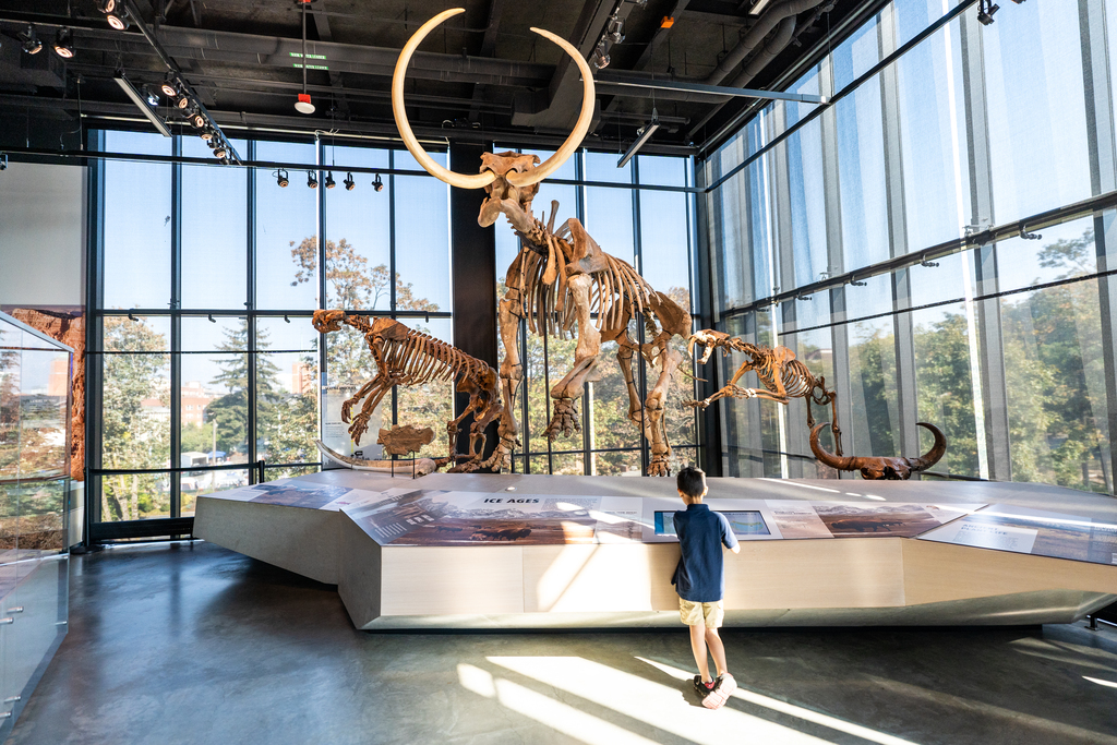 Burke Museum of Natural History and Culture