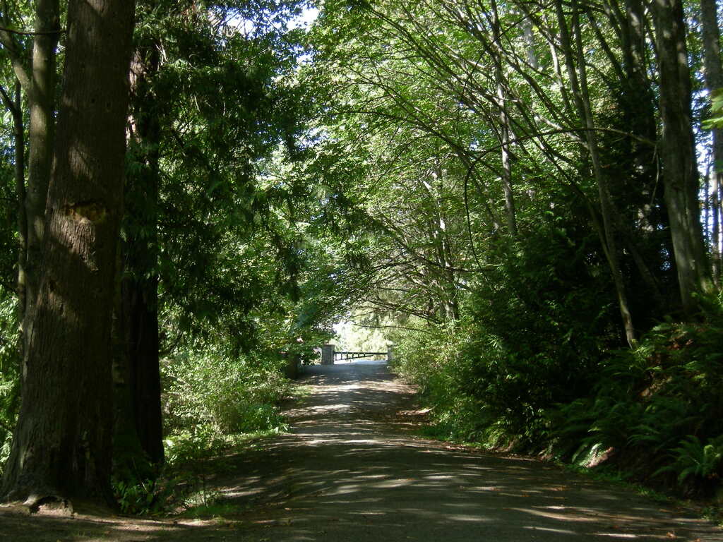 Seattle - Schmitz Park