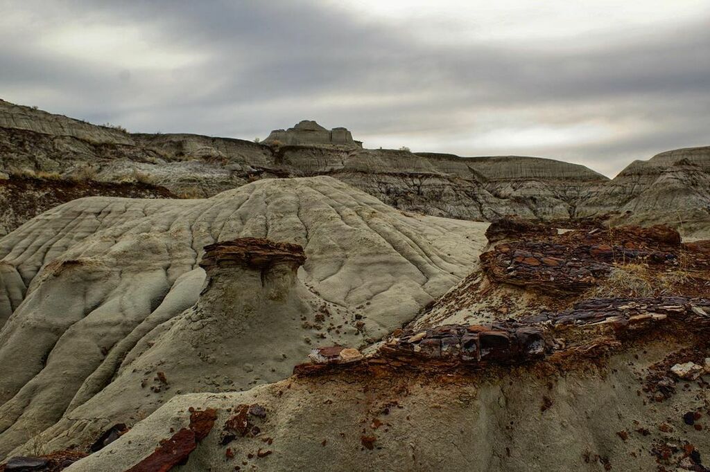 road trips from calgary | dinosaur provincial park