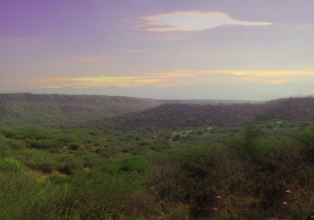 Black Hill (kado dungar) Kachchh
